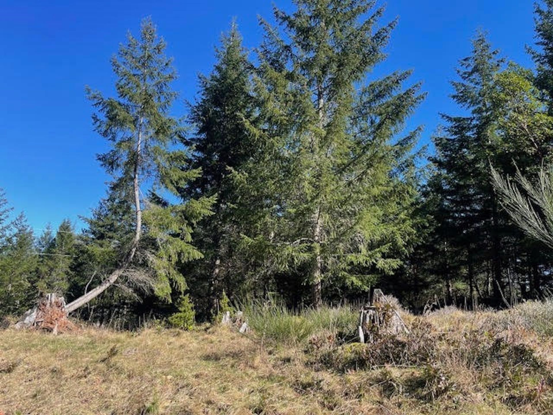 Photo 18 at 1840 Seymour Road, Gabriola Island, Islands-Van. & Gulf Photo 18 at 1840 Seymour Road, Gabriola Island, Islands-Van. & Gulf