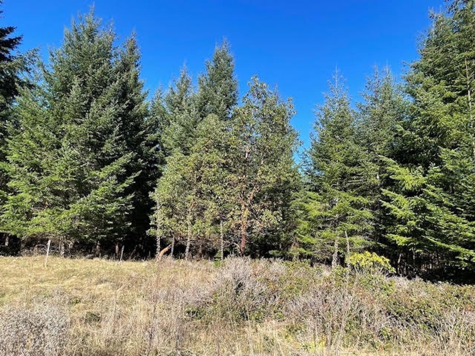 Photo 21 at 1840 Seymour Road, Gabriola Island, Islands-Van. & Gulf Photo 21 at 1840 Seymour Road, Gabriola Island, Islands-Van. & Gulf