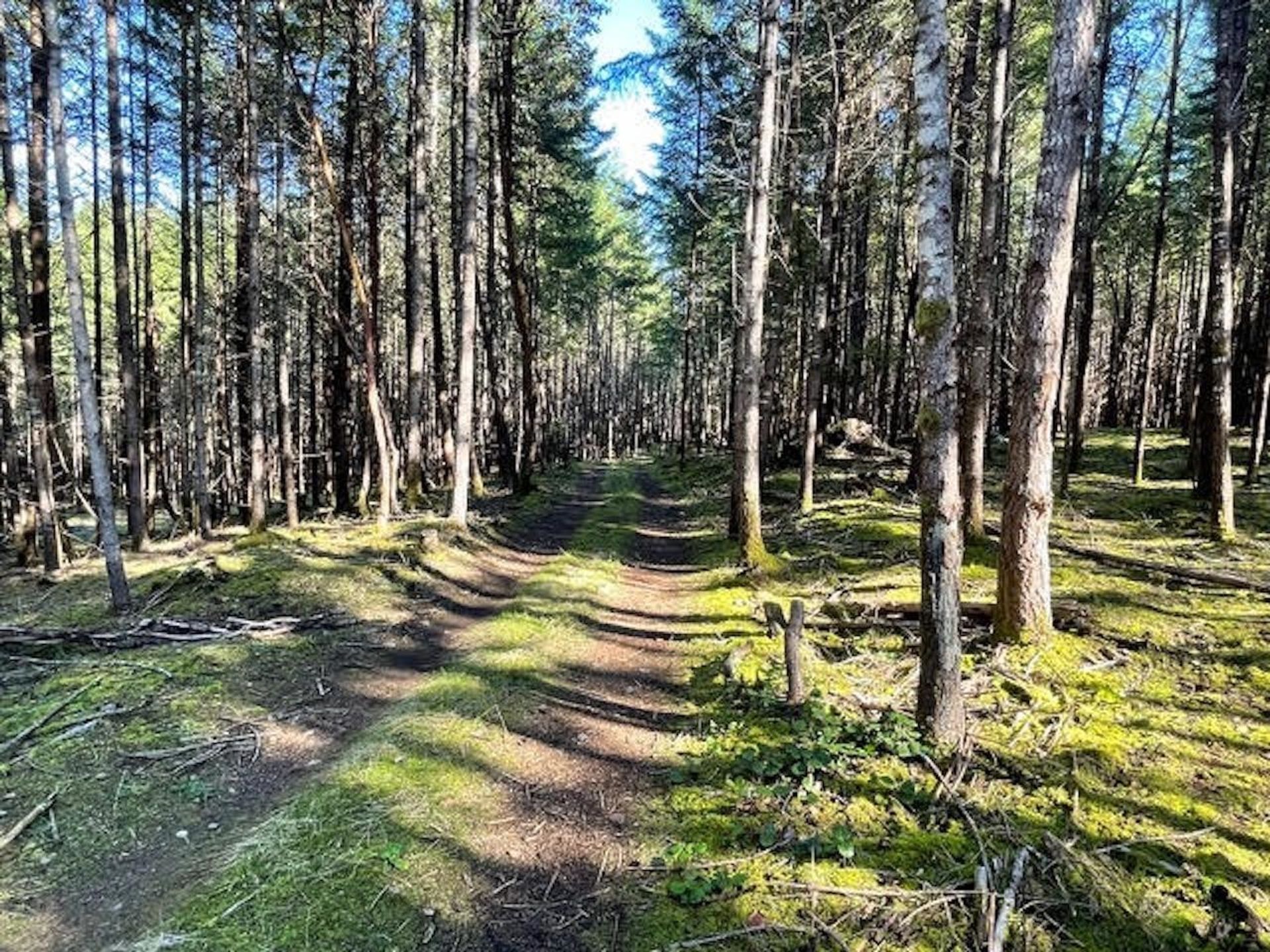 Photo 23 at 1840 Seymour Road, Gabriola Island, Islands-Van. & Gulf Photo 23 at 1840 Seymour Road, Gabriola Island, Islands-Van. & Gulf