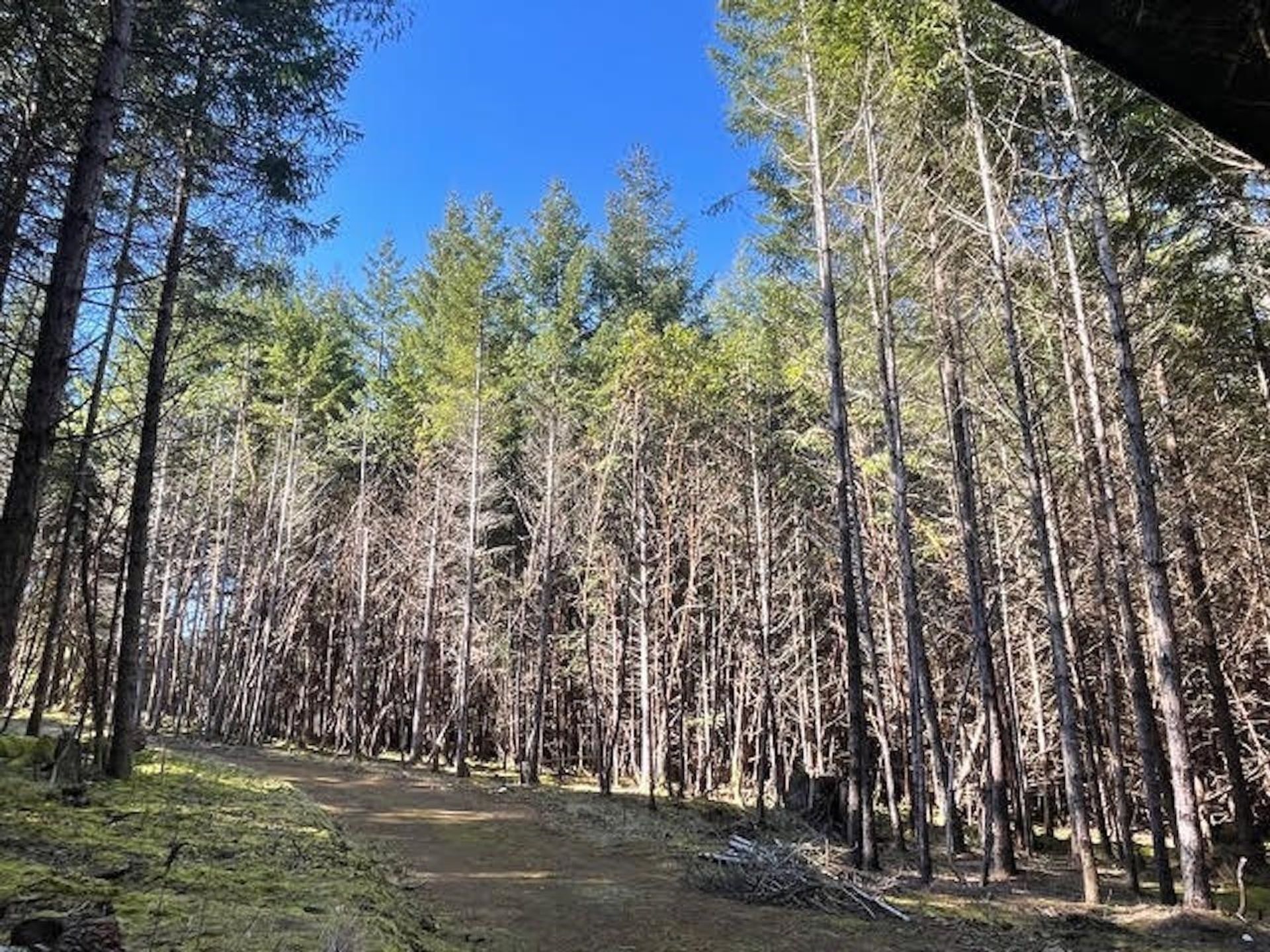 Photo 27 at 1840 Seymour Road, Gabriola Island, Islands-Van. & Gulf Photo 27 at 1840 Seymour Road, Gabriola Island, Islands-Van. & Gulf