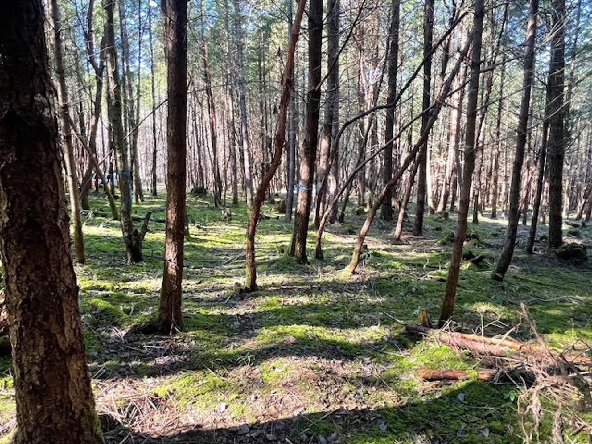 Photo 29 at 1840 Seymour Road, Gabriola Island, Islands-Van. & Gulf Photo 29 at 1840 Seymour Road, Gabriola Island, Islands-Van. & Gulf