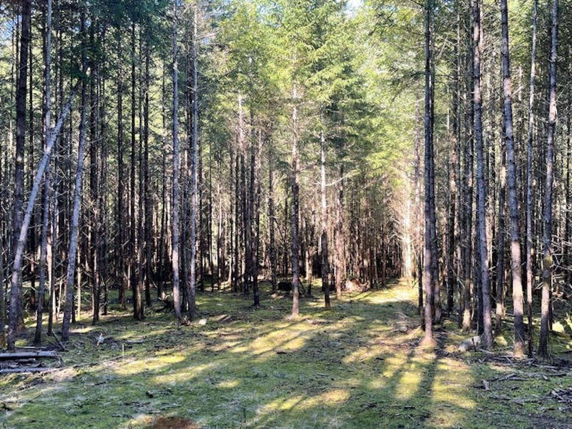 Photo 32 at 1840 Seymour Road, Gabriola Island, Islands-Van. & Gulf Photo 32 at 1840 Seymour Road, Gabriola Island, Islands-Van. & Gulf