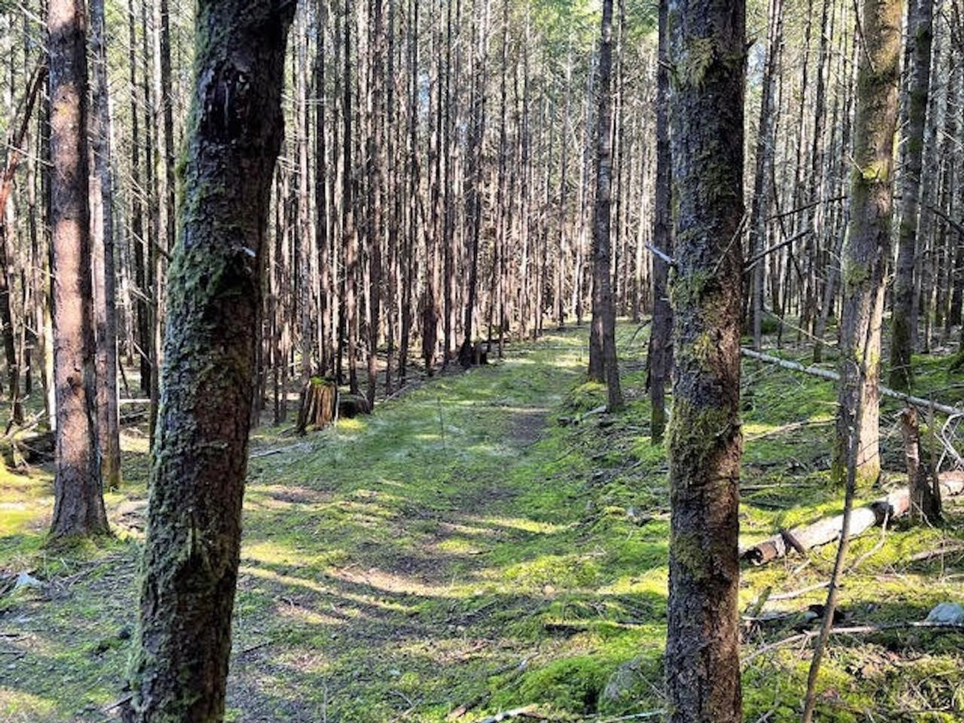 Photo 33 at 1840 Seymour Road, Gabriola Island, Islands-Van. & Gulf Photo 33 at 1840 Seymour Road, Gabriola Island, Islands-Van. & Gulf