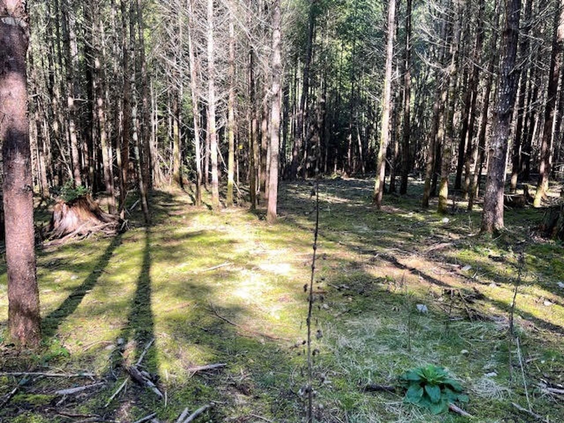 Photo 34 at 1840 Seymour Road, Gabriola Island, Islands-Van. & Gulf Photo 34 at 1840 Seymour Road, Gabriola Island, Islands-Van. & Gulf