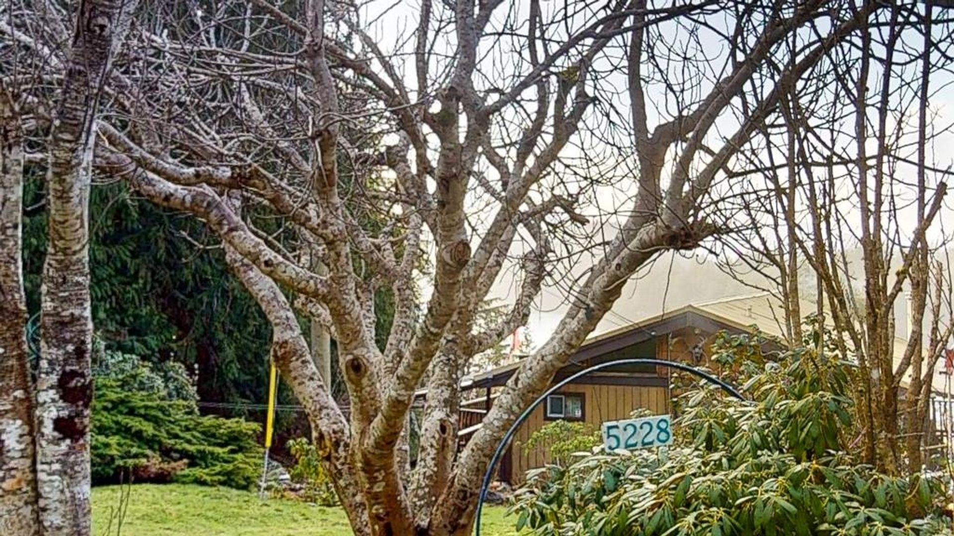 Photo 12 at 5228 Claydon Road, Pender Harbour Egmont, Sunshine Coast Photo 12 at 5228 Claydon Road, Pender Harbour Egmont, Sunshine Coast