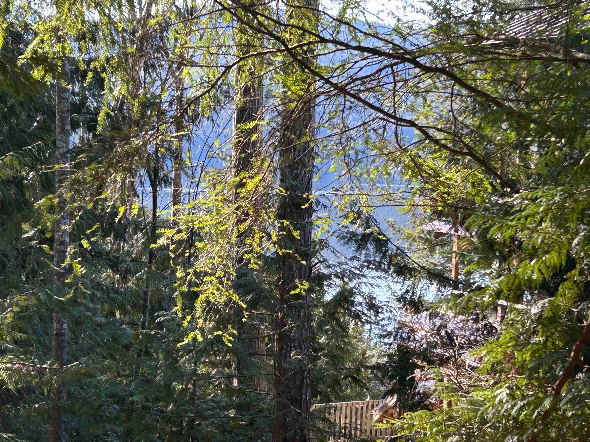 LOT 71 Klahanie Drive, Sechelt District, Sunshine Coast photo number 2 LOT 71 Klahanie Drive, Sechelt District, Sunshine Coast photo number 2
