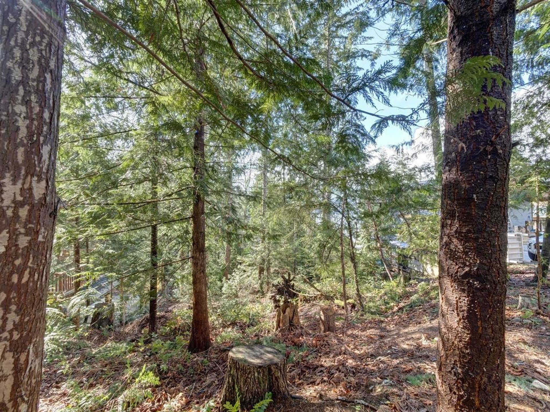 Photo 4 at LOT 71 Klahanie Drive, Sechelt District, Sunshine Coast Photo 4 at LOT 71 Klahanie Drive, Sechelt District, Sunshine Coast