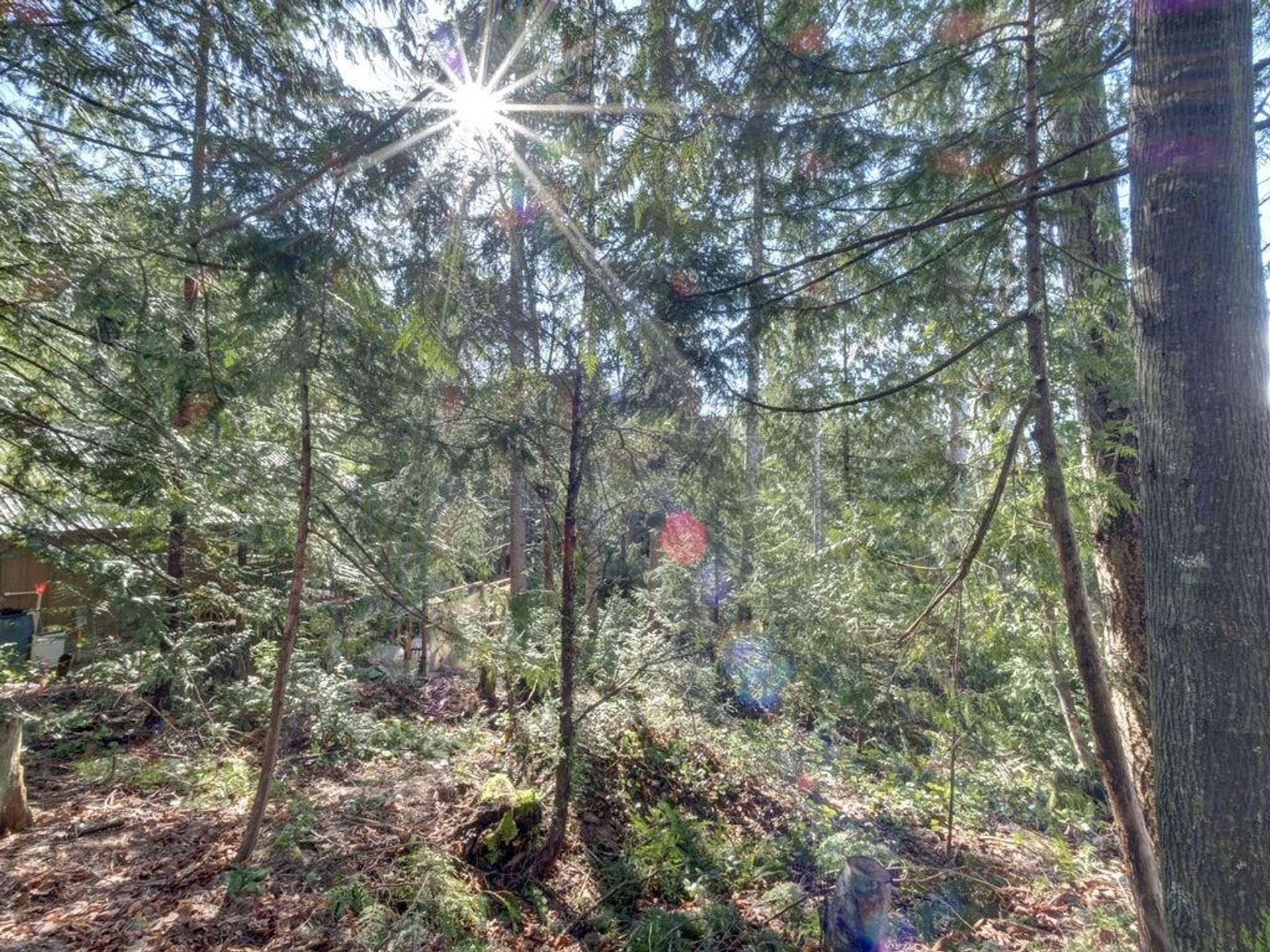 Photo 5 at LOT 71 Klahanie Drive, Sechelt District, Sunshine Coast Photo 5 at LOT 71 Klahanie Drive, Sechelt District, Sunshine Coast