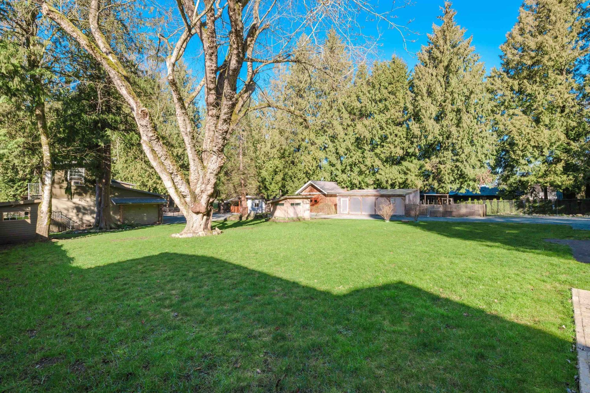 Photo 16 at 3955 248 Street, Salmon River, Langley Photo 16 at 3955 248 Street, Salmon River, Langley