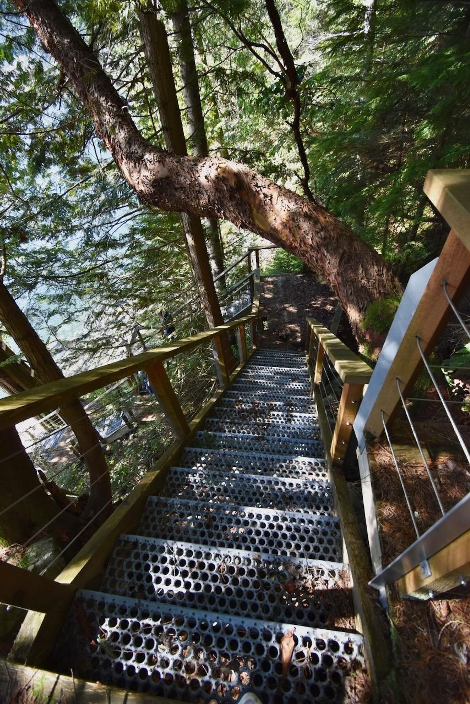 Photo 6 at 37 Lots Witherby Beach Road, Gibsons & Area, Sunshine Coast Photo 6 at 37 Lots Witherby Beach Road, Gibsons & Area, Sunshine Coast