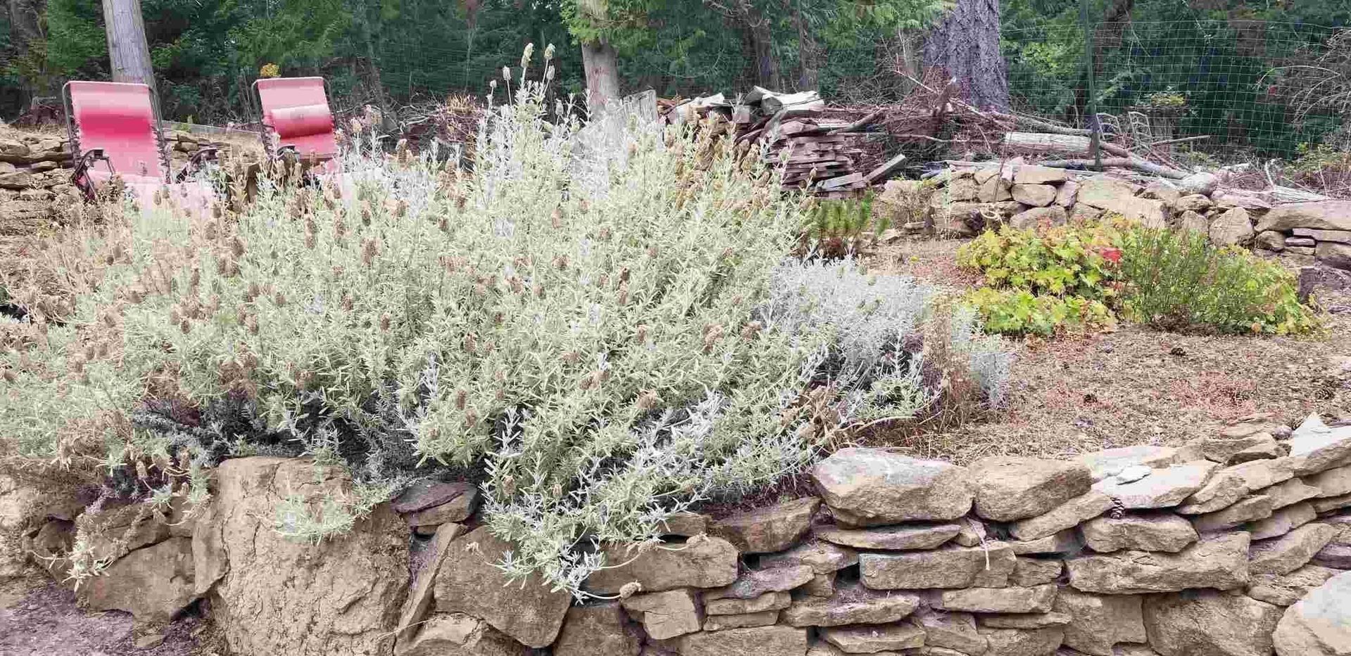 Photo 6 at 512 Aya Reach Road, Mayne Island, Islands-Van. & Gulf Photo 6 at 512 Aya Reach Road, Mayne Island, Islands-Van. & Gulf