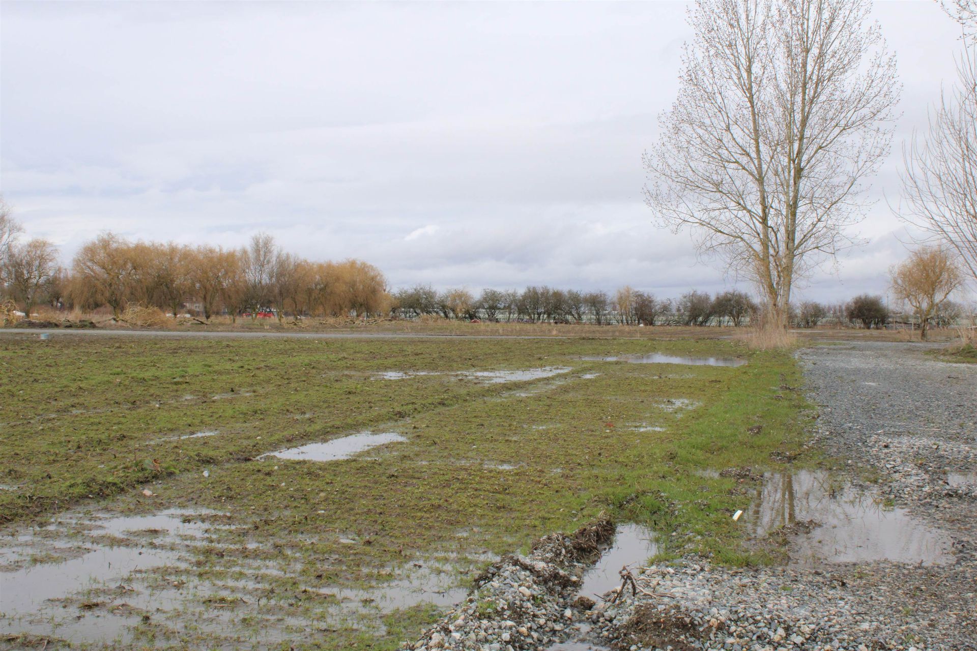 Photo 6 at 5465 34b Avenue, Ladner Rural, Ladner Photo 6 at 5465 34b Avenue, Ladner Rural, Ladner