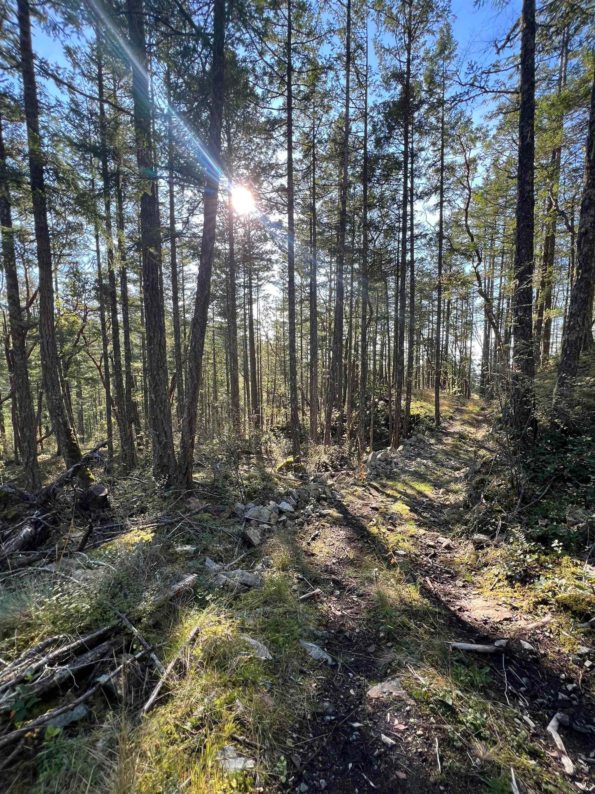 Photo 3 at LOT 2 - 13685 Lee Road, Pender Harbour Egmont, Sunshine Coast Photo 3 at LOT 2 - 13685 Lee Road, Pender Harbour Egmont, Sunshine Coast