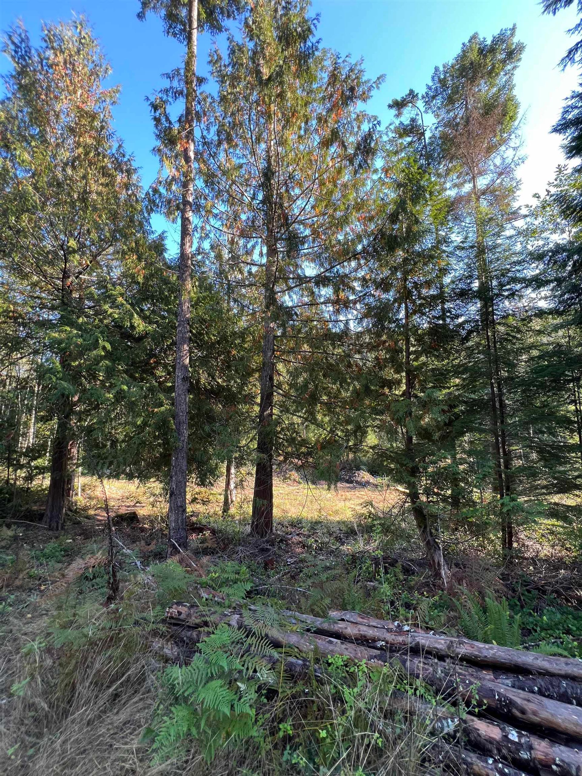 Photo 5 at LOT 4 - 13685 Lee Road, Pender Harbour Egmont, Sunshine Coast Photo 5 at LOT 4 - 13685 Lee Road, Pender Harbour Egmont, Sunshine Coast