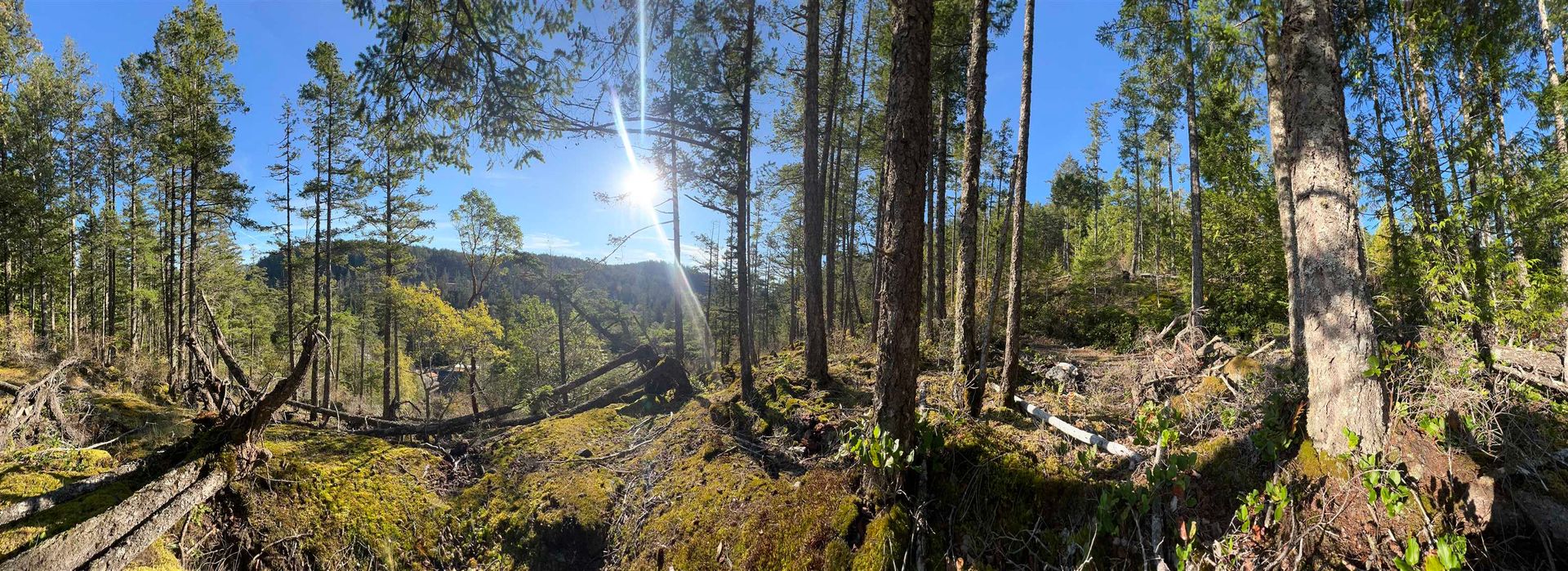 Photo 4 at LOT 5 - 13685 Lee Road, Pender Harbour Egmont, Sunshine Coast Photo 4 at LOT 5 - 13685 Lee Road, Pender Harbour Egmont, Sunshine Coast