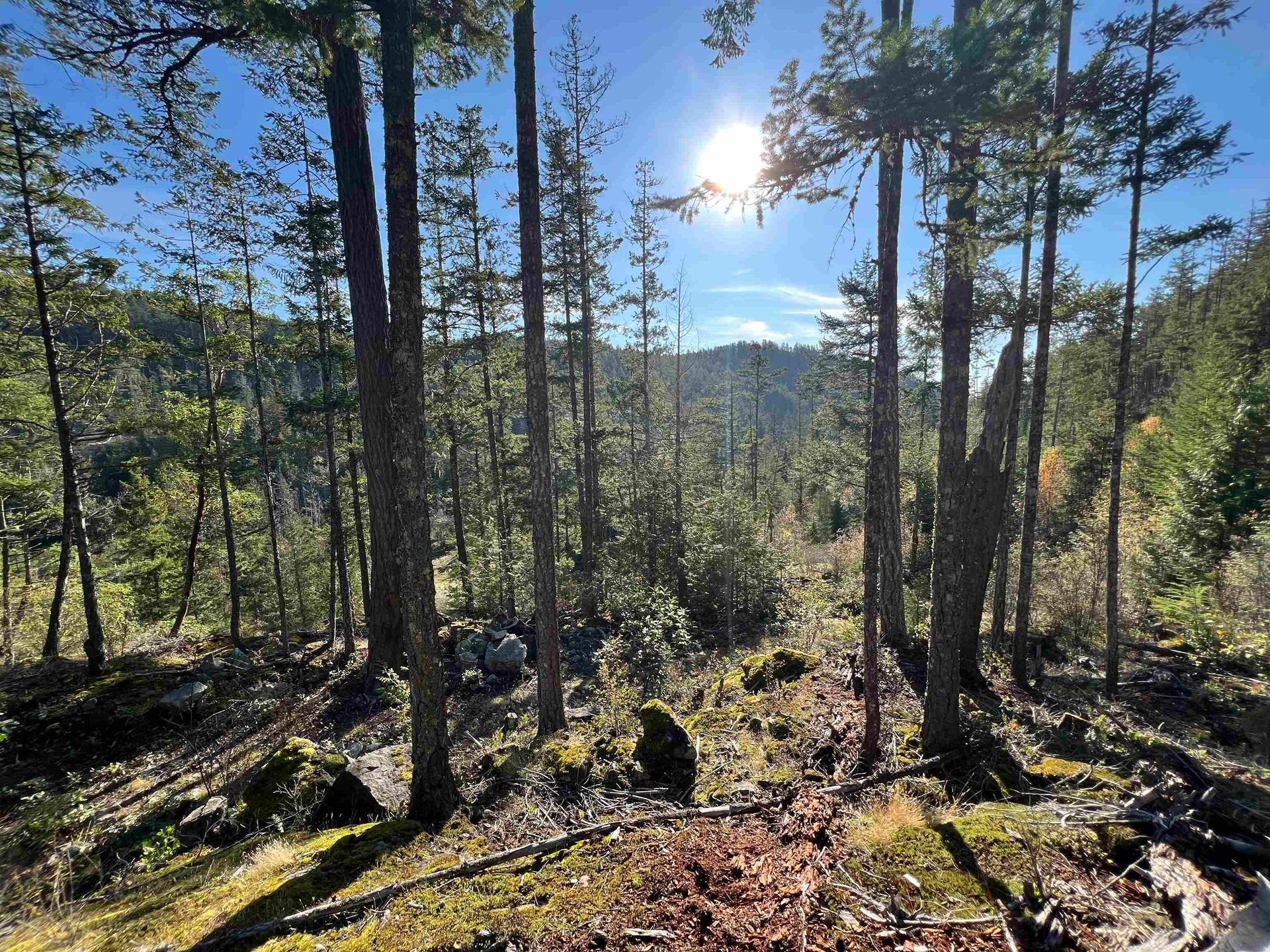 Photo 5 at LOT 5 - 13685 Lee Road, Pender Harbour Egmont, Sunshine Coast Photo 5 at LOT 5 - 13685 Lee Road, Pender Harbour Egmont, Sunshine Coast