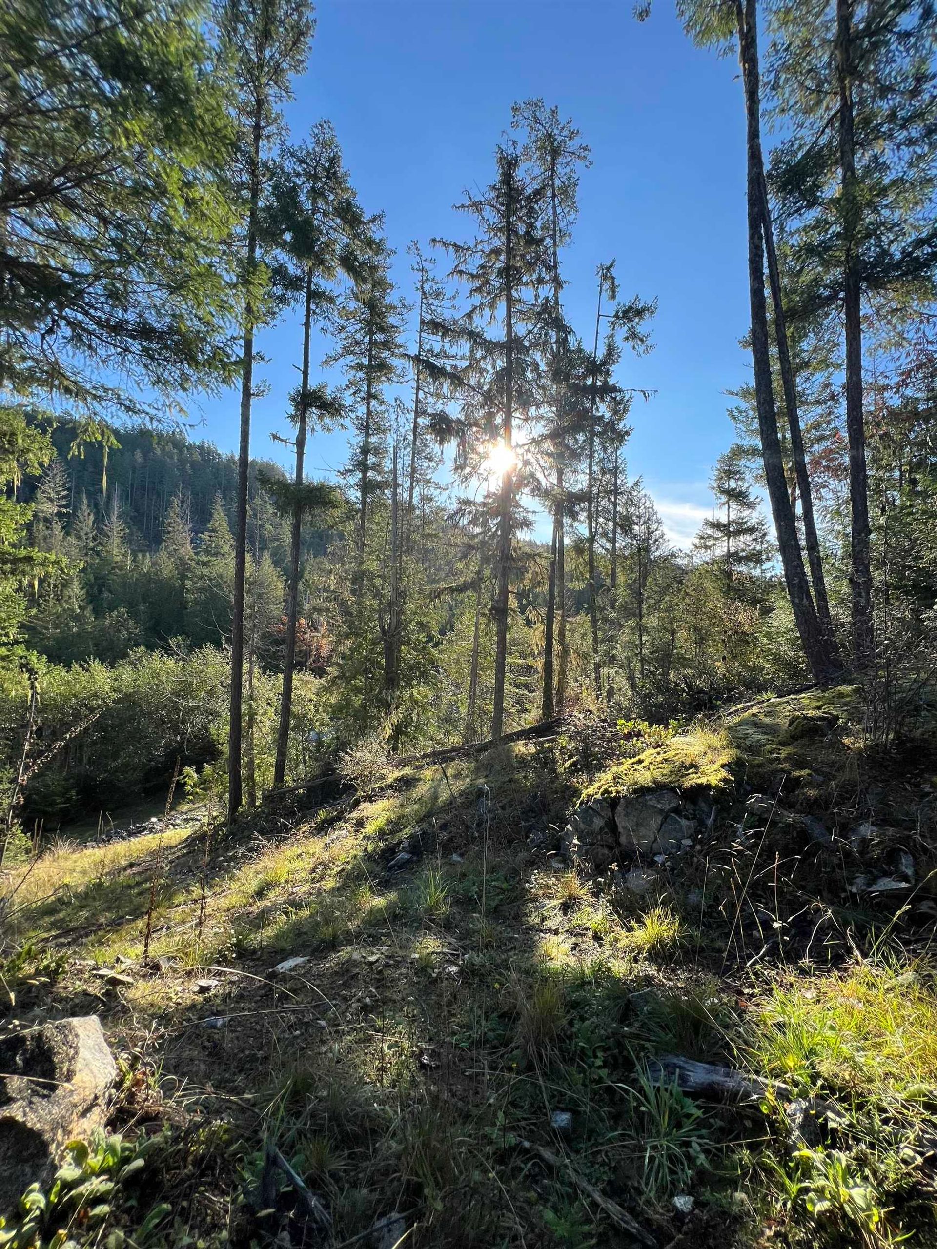 LOT 7 - 13685 Lee Road, Pender Harbour Egmont, Sunshine Coast photo number 2 LOT 7 - 13685 Lee Road, Pender Harbour Egmont, Sunshine Coast photo number 2
