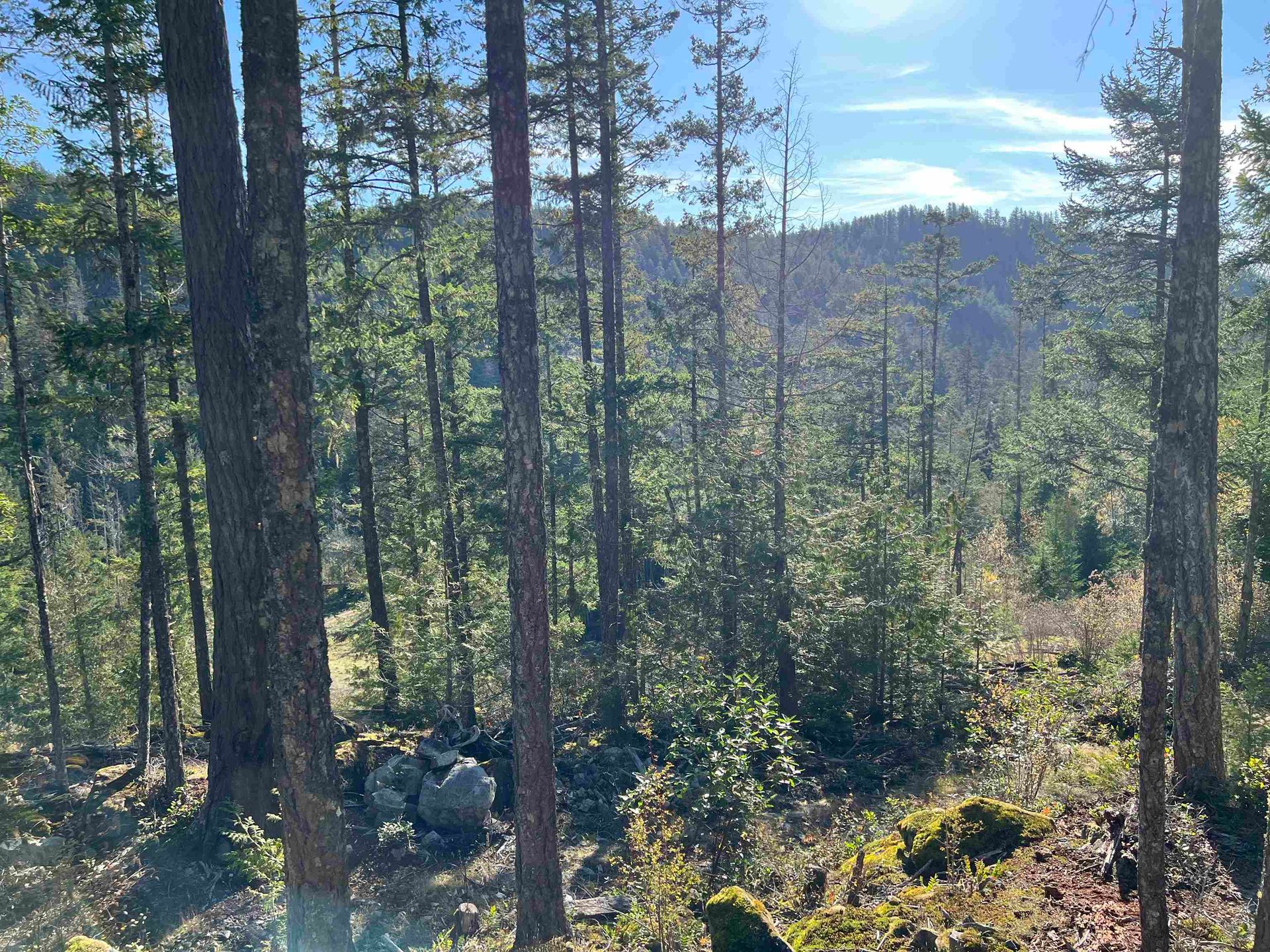 Photo 9 at LOT 7 - 13685 Lee Road, Pender Harbour Egmont, Sunshine Coast Photo 9 at LOT 7 - 13685 Lee Road, Pender Harbour Egmont, Sunshine Coast