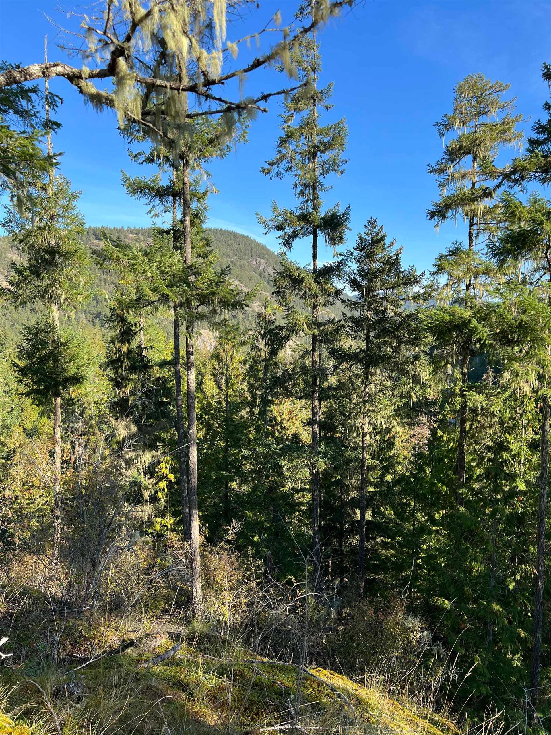 Photo 5 at LOT 8 - 13685 Lee Road, Pender Harbour Egmont, Sunshine Coast Photo 5 at LOT 8 - 13685 Lee Road, Pender Harbour Egmont, Sunshine Coast