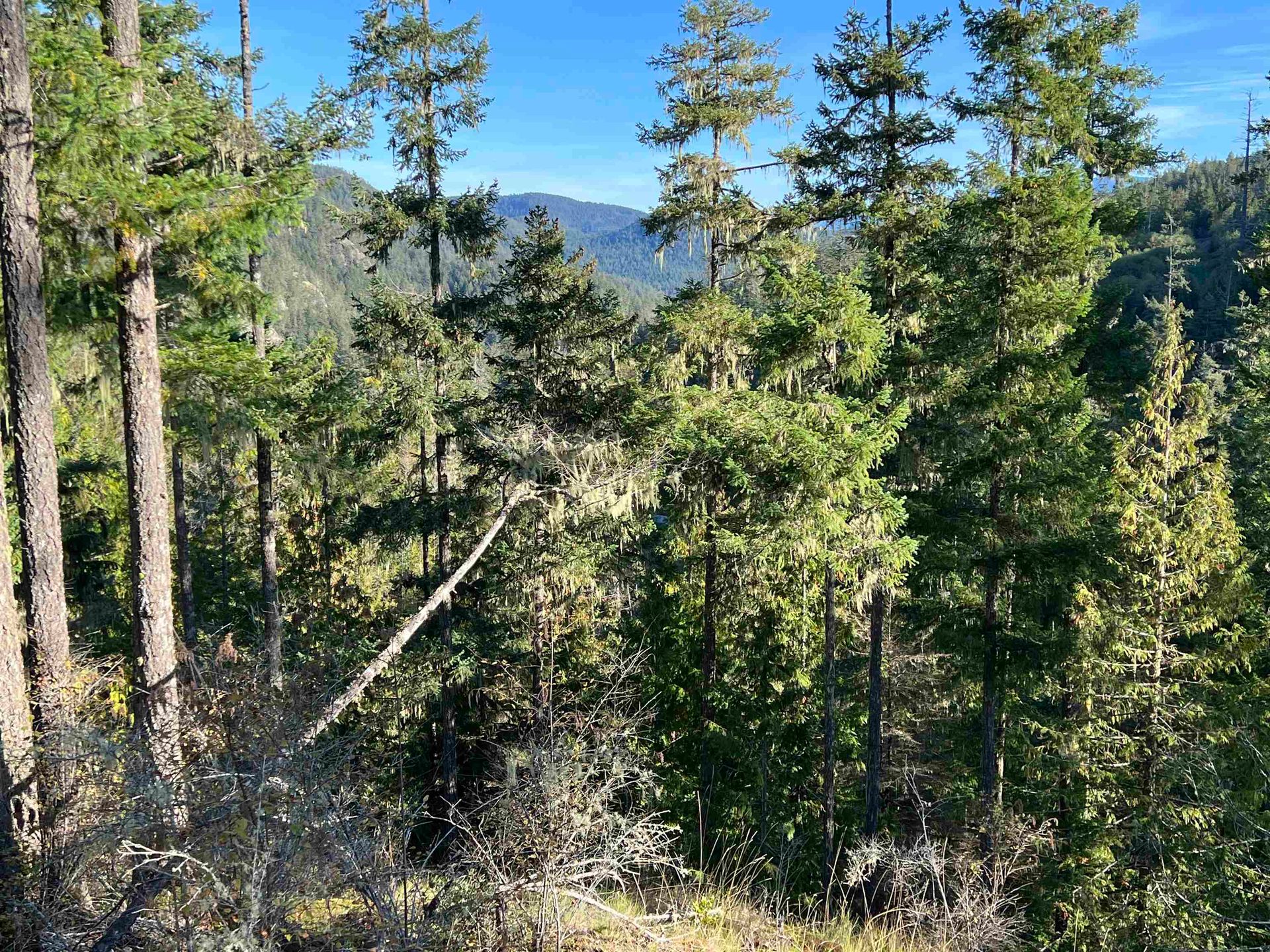 Photo 6 at LOT 8 - 13685 Lee Road, Pender Harbour Egmont, Sunshine Coast Photo 6 at LOT 8 - 13685 Lee Road, Pender Harbour Egmont, Sunshine Coast