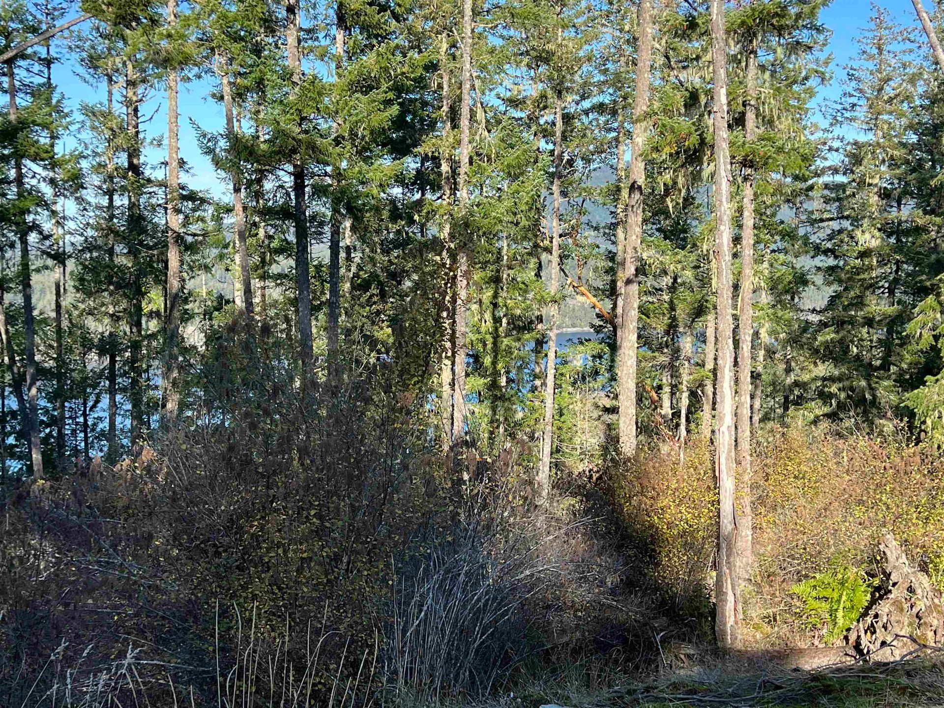 Photo 20 at LOT 8 - 13685 Lee Road, Pender Harbour Egmont, Sunshine Coast Photo 20 at LOT 8 - 13685 Lee Road, Pender Harbour Egmont, Sunshine Coast