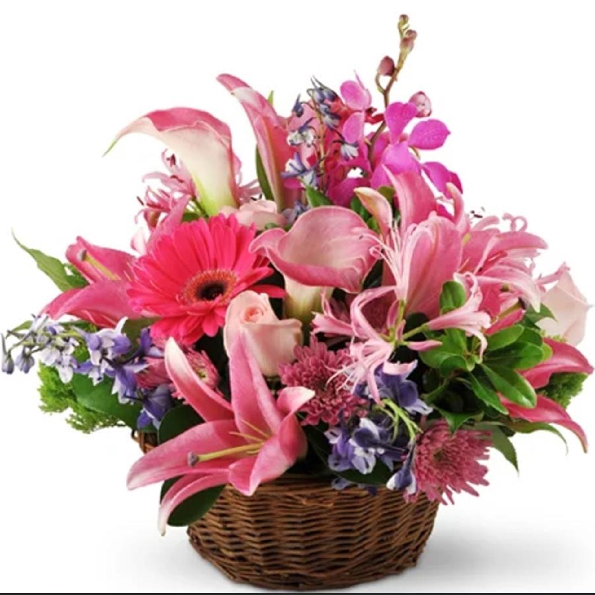 Photo 1 at 110 - 1169 Pacific Street, North Coquitlam, Coquitlam Photo 1 at 110 - 1169 Pacific Street, North Coquitlam, Coquitlam