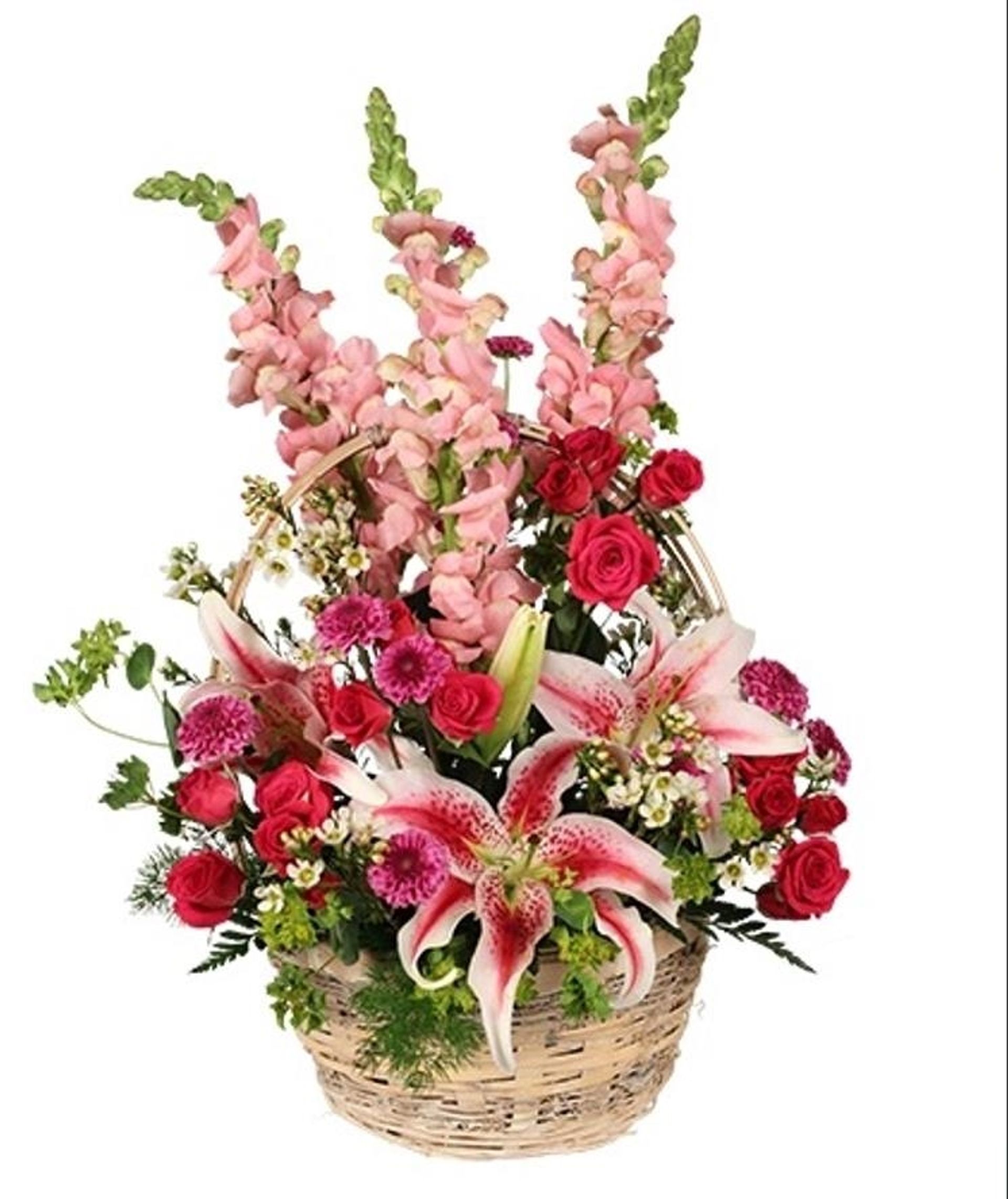 Photo 3 at 110 - 1169 Pacific Street, North Coquitlam, Coquitlam Photo 3 at 110 - 1169 Pacific Street, North Coquitlam, Coquitlam