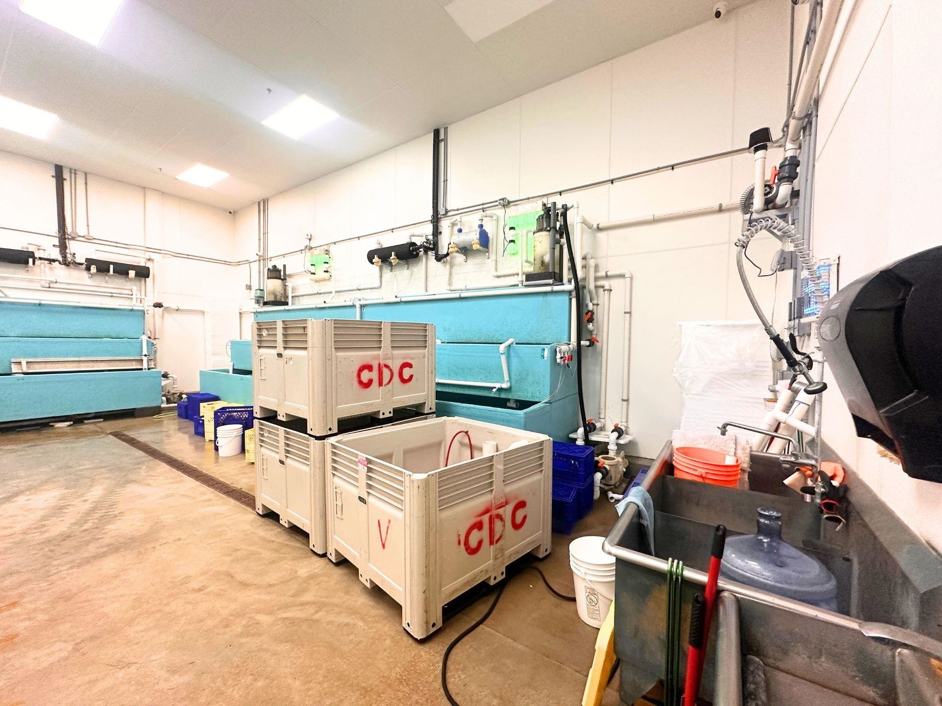 Photo 4 at 8 - 12800 Bathgate Way, East Cambie, Richmond Photo 4 at 8 - 12800 Bathgate Way, East Cambie, Richmond