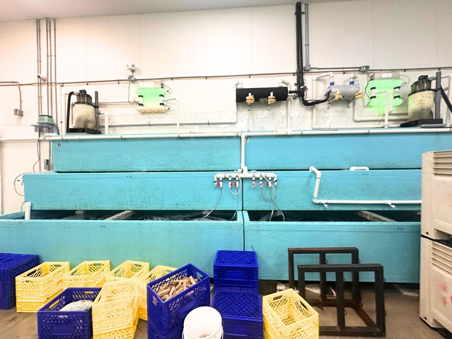 Photo 5 at 8 - 12800 Bathgate Way, East Cambie, Richmond Photo 5 at 8 - 12800 Bathgate Way, East Cambie, Richmond