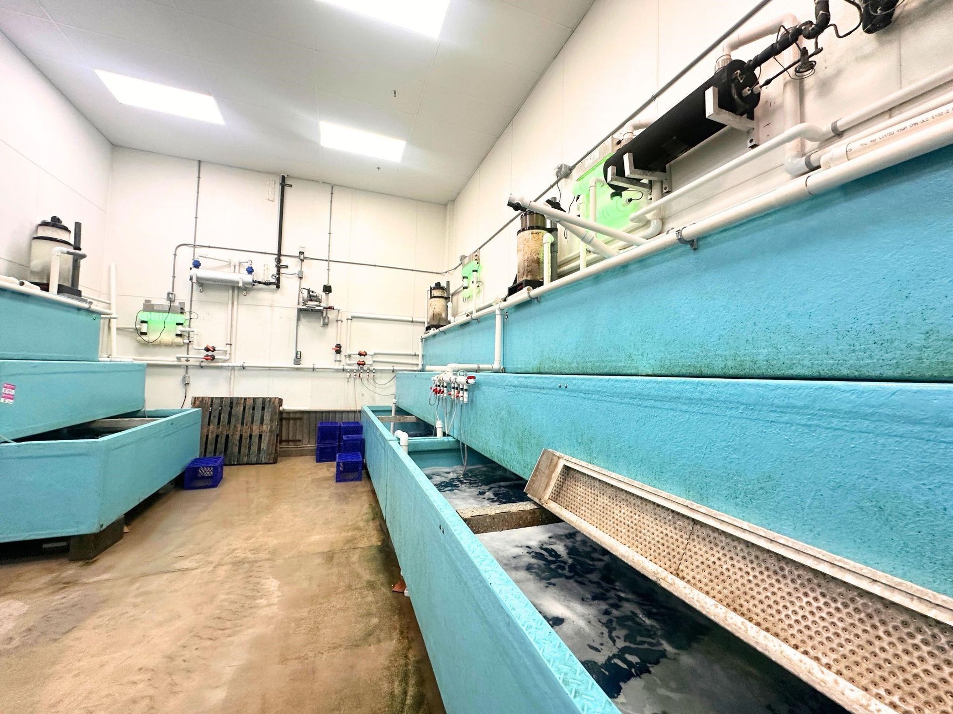 Photo 6 at 8 - 12800 Bathgate Way, East Cambie, Richmond Photo 6 at 8 - 12800 Bathgate Way, East Cambie, Richmond