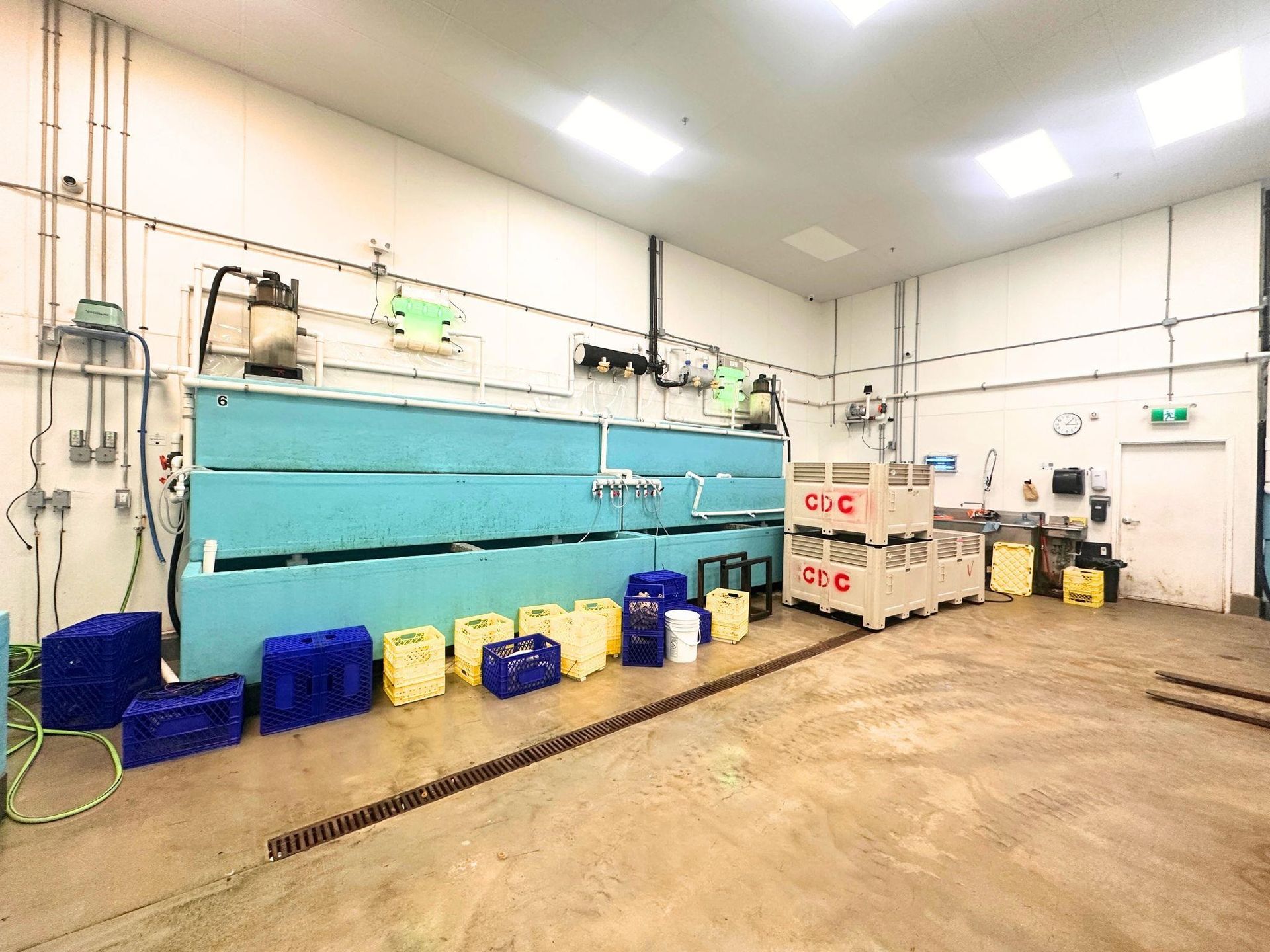 Photo 7 at 8 - 12800 Bathgate Way, East Cambie, Richmond Photo 7 at 8 - 12800 Bathgate Way, East Cambie, Richmond