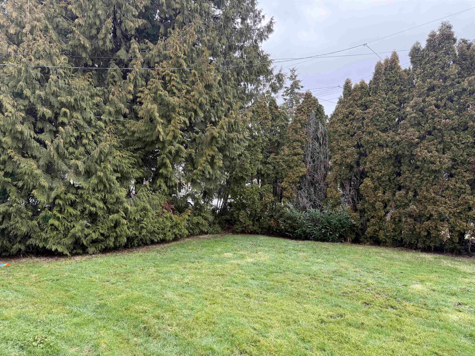 11220 King Road3