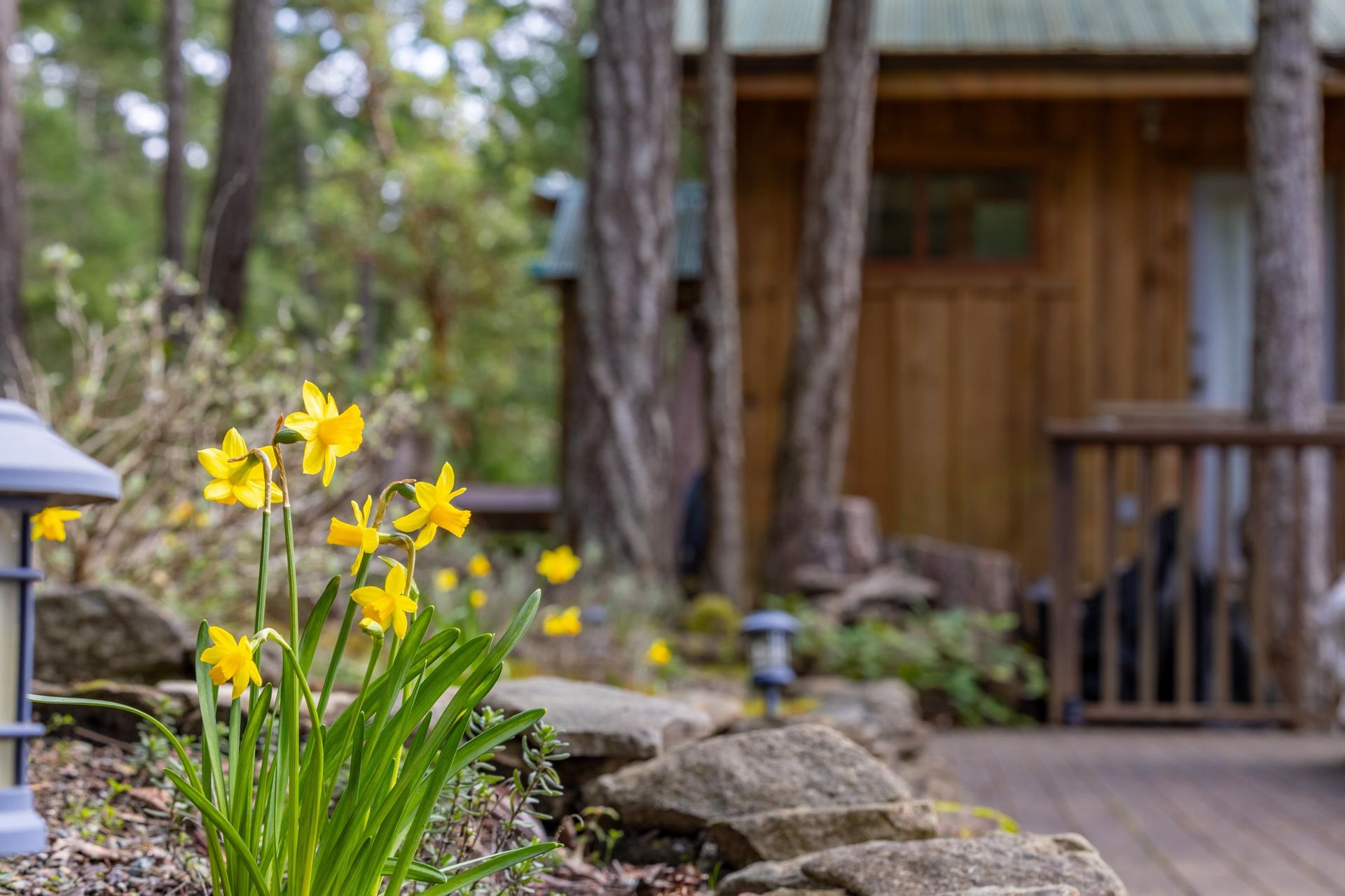 Photo 15 at 390 Juniper Lane, Galiano Island, Islands-Van. & Gulf Photo 15 at 390 Juniper Lane, Galiano Island, Islands-Van. & Gulf