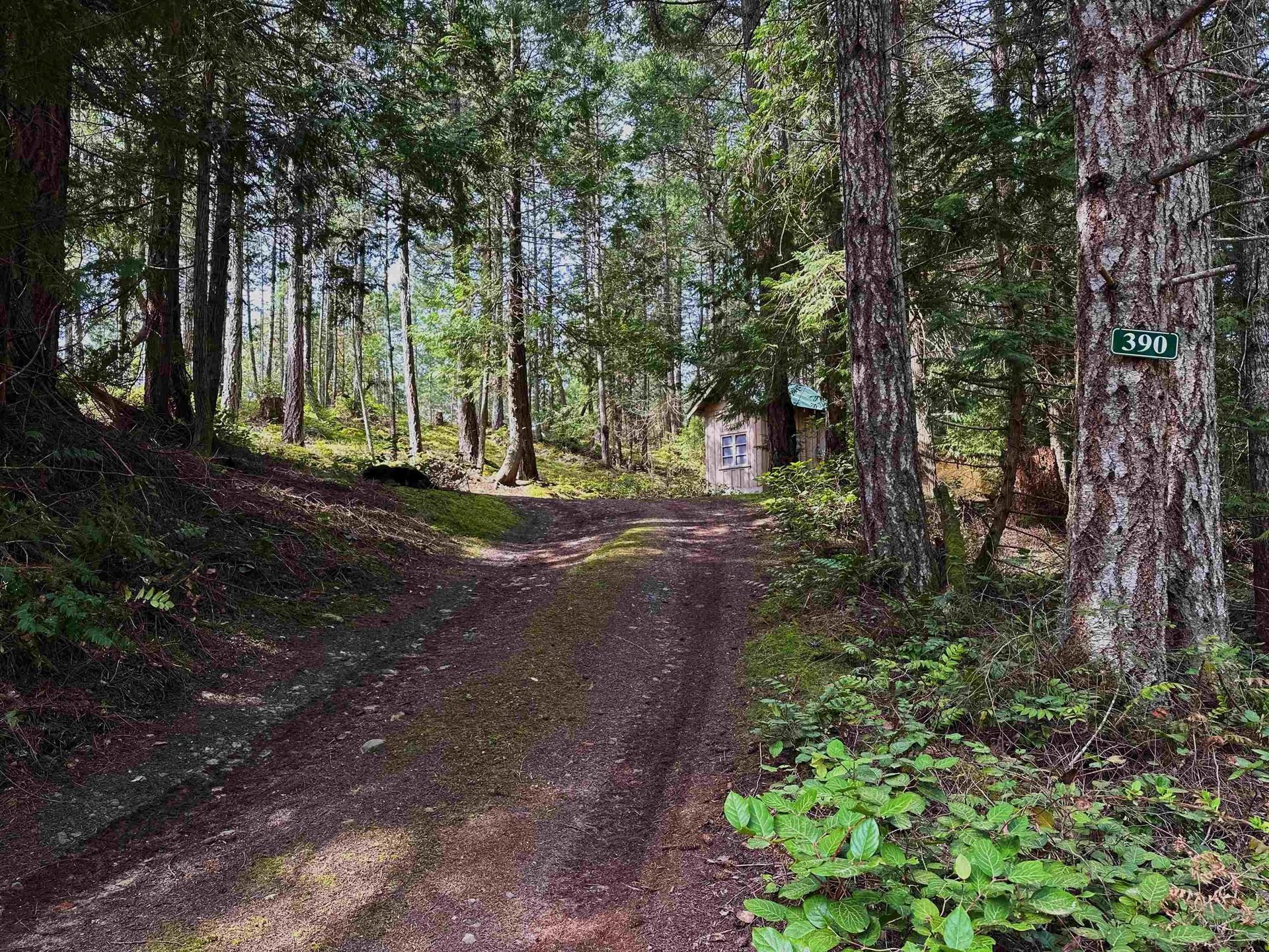 Photo 33 at 390 Juniper Lane, Galiano Island, Islands-Van. & Gulf Photo 33 at 390 Juniper Lane, Galiano Island, Islands-Van. & Gulf