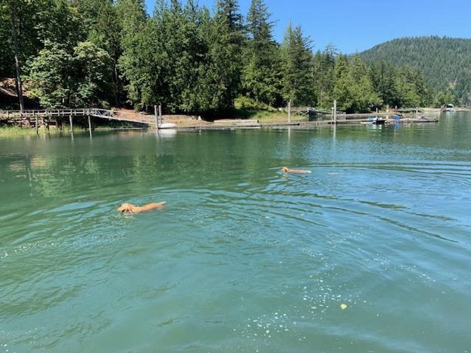 Photo 13 at LOT 3 Harrison River, Mt Woodside, Agassiz Photo 13 at LOT 3 Harrison River, Mt Woodside, Agassiz