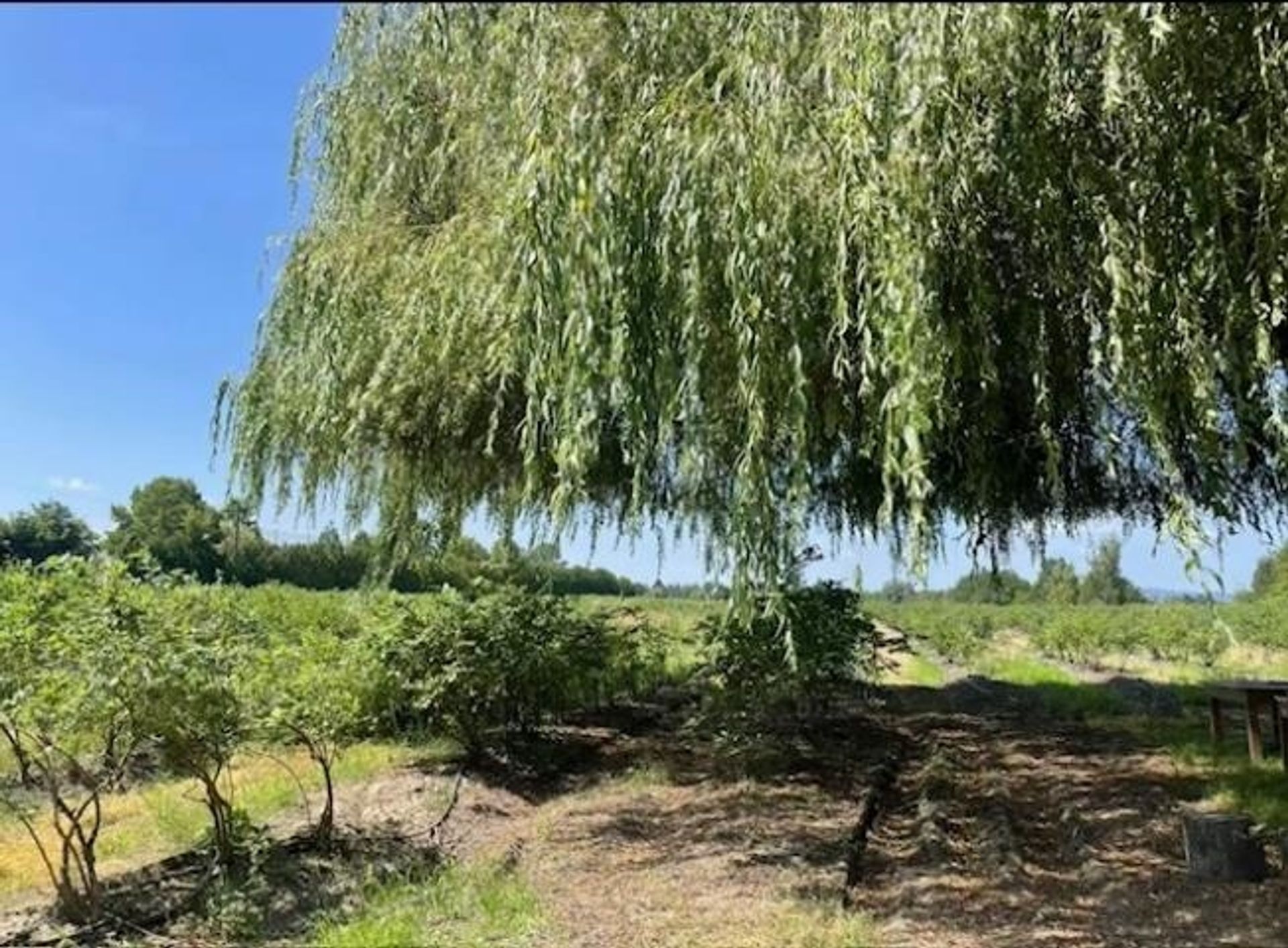 Photo 4 at  Photo 4 at