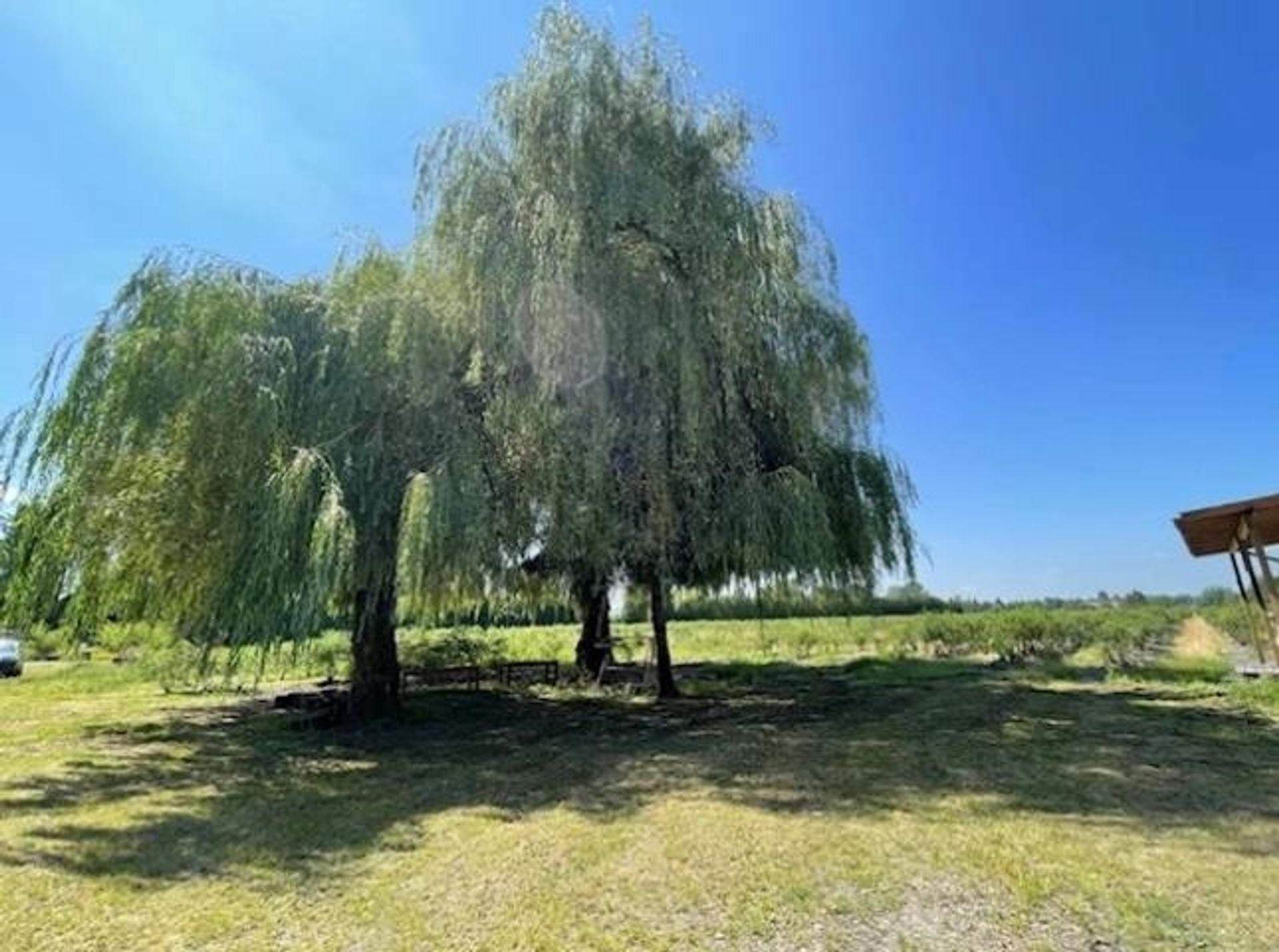 Photo 5 at  Photo 5 at
