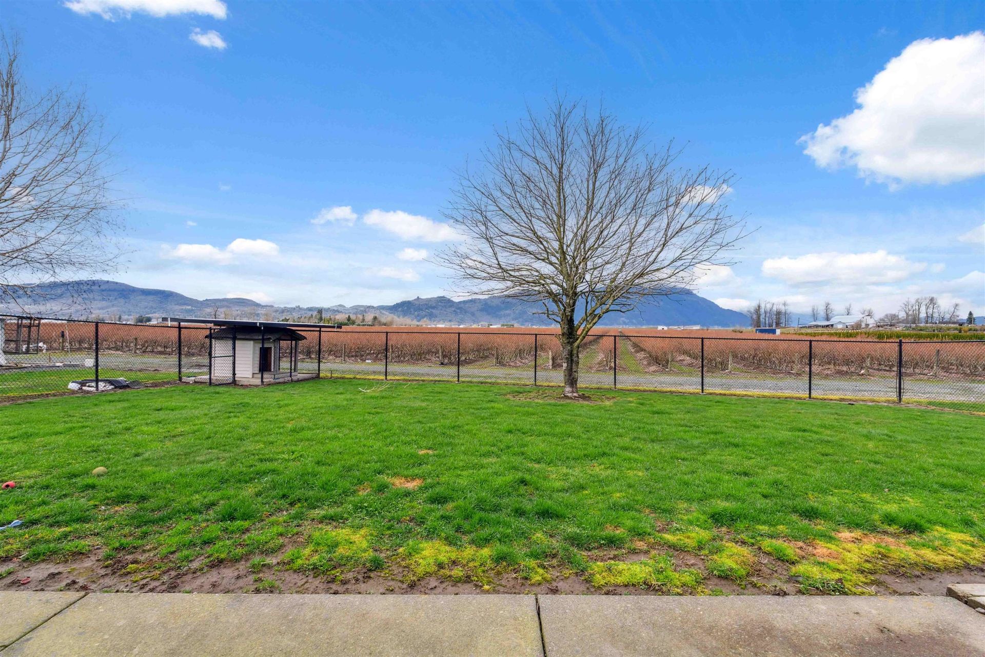 Photo 33 at 1885 Marion Road, Sumas Prairie, Abbotsford Photo 33 at 1885 Marion Road, Sumas Prairie, Abbotsford