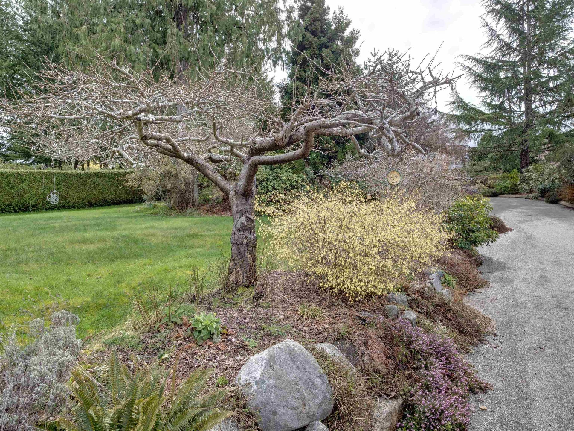 Photo 4 at 6484 N Gale Avenue, Sechelt District, Sunshine Coast Photo 4 at 6484 N Gale Avenue, Sechelt District, Sunshine Coast