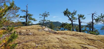 Photo 51 at 2594 Conville Bay Road, Quadra Island, Islands