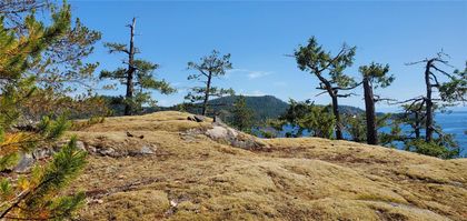 Photo 52 at 2594 Conville Bay Road, Quadra Island, Islands