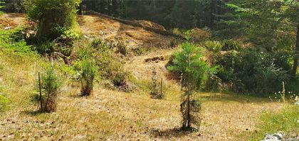 Photo 61 at 2594 Conville Bay Road, Quadra Island, Islands