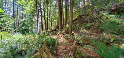 Photo 65 at 2594 Conville Bay Road, Quadra Island, Islands