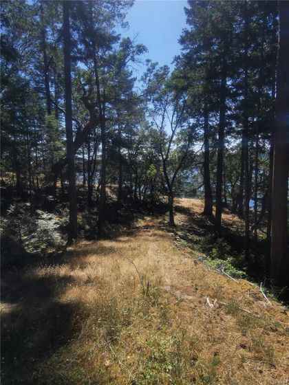 Photo 5 at Lot 9 Beechwood Drive, Mayne Island, Gulf Islands