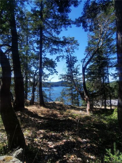 Photo 7 at Lot 9 Beechwood Drive, Mayne Island, Gulf Islands