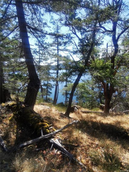 Photo 10 at Lot 9 Beechwood Drive, Mayne Island, Gulf Islands
