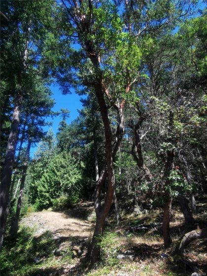 Photo 13 at Lot 9 Beechwood Drive, Mayne Island, Gulf Islands