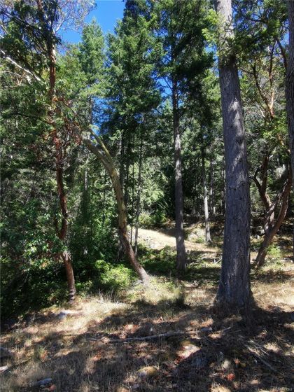 Photo 14 at Lot 9 Beechwood Drive, Mayne Island, Gulf Islands