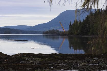 Photo 4 at Lot 14 Ingersoll, Port Hardy, North Island