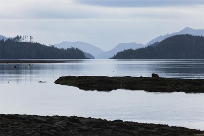 Photo 12 at Lot 14 Ingersoll, Port Hardy, North Island